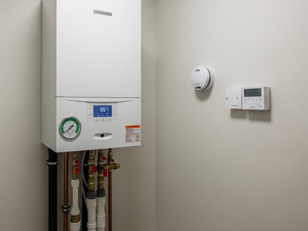 Gemini_Generated_Image_jd3ddijd3ddijd3d